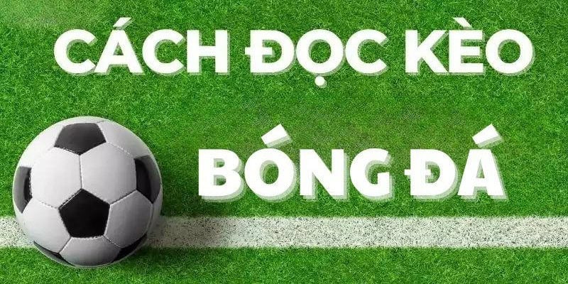 Nắm được cách đọc kèo bóng đá chính là yếu tố có vai trò rất quan trọng