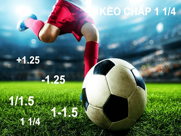 Khái quát kèo 1/1.5 khi cá độ bóng đá