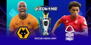NHA wol vs nottingham
