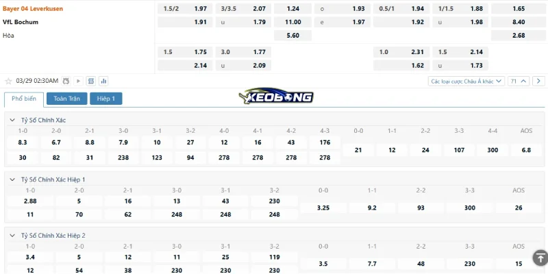 Tỉ lệ kèo trận Leverkusen vs Bochum