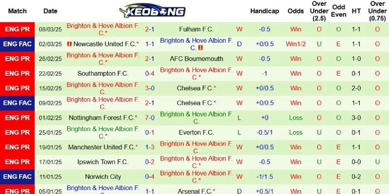 Thành tích mới nhất bên phía Brighton