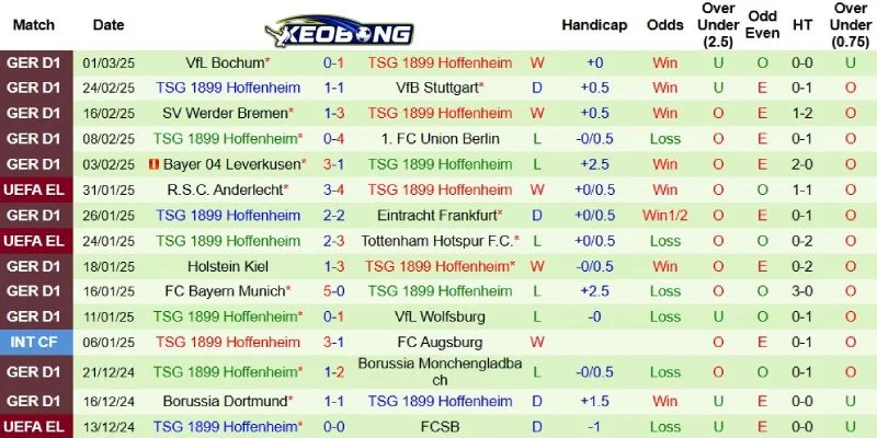 Thành tích gần đây bên phía Hoffenheim