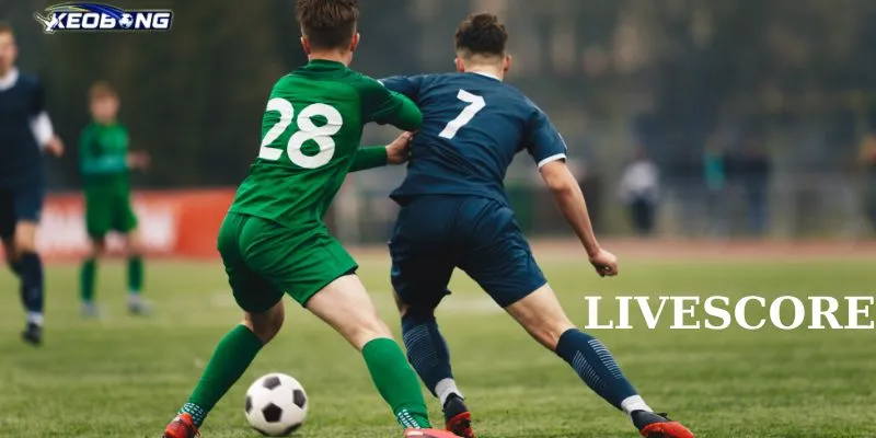 Hướng dẫn sử dụng Livescore tại Kèo bóng hiệu quả