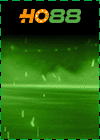 14. Ho88 100x140 copy