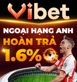 3.Banner VIBET 150x160