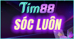 8. tim88 150x80 copy