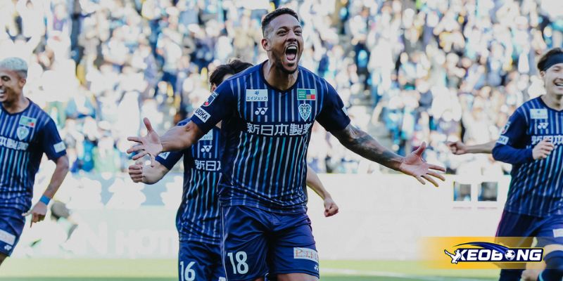 avispa fukuoka vs kyoto 2 Nhận định tình hình đội chủ nhà trước trận Avispa Fukuoka vs Kyoto