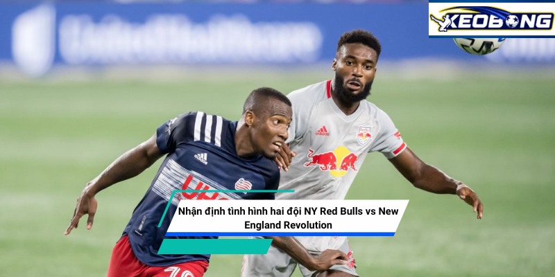 Nhận định trận đấu giữa NY Red Bulls vs New England Revolution