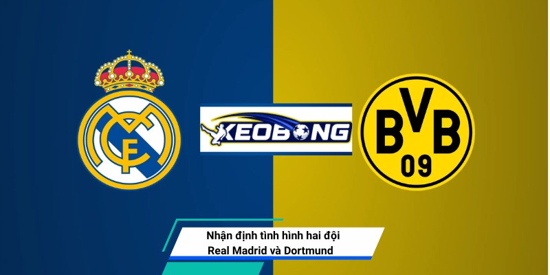 Nhận định tình hình hai đội trước giờ bóng lăn