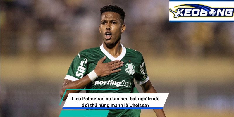 palmeiras co tao nen bat ngo truoc chelsea Nhận định Palmeiras