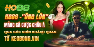 review nha cai ho88