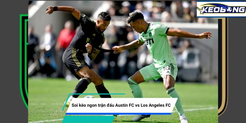 soi keo ngon tran dau austin fc vs los angeles fc Soi kèo ngon trận Austin FC vs Los Angeles FC