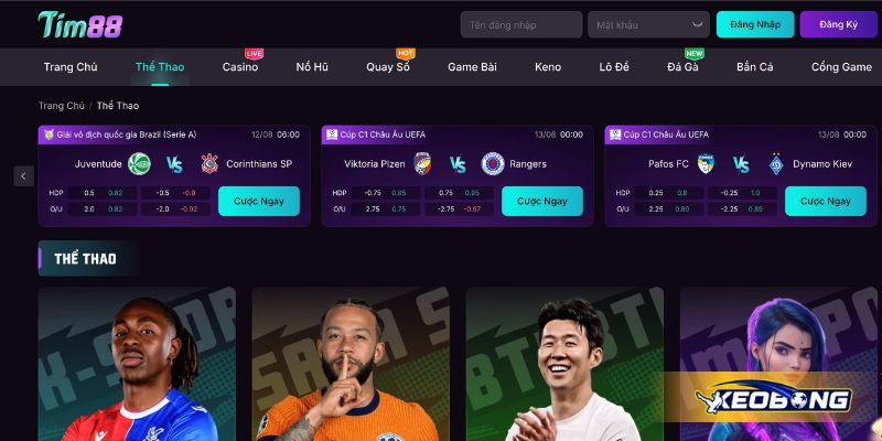 Cá cược thể thao Tim88