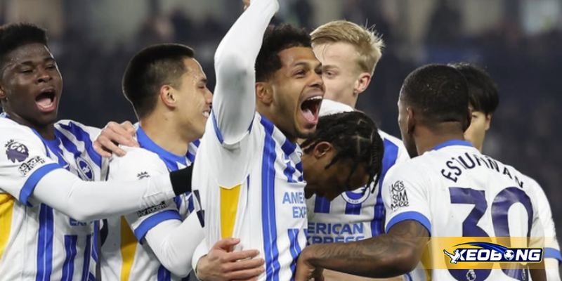 Nhận định tình hình đội chủ nhà trước trận Brighton vs Fulham ngày 16/08/2025
