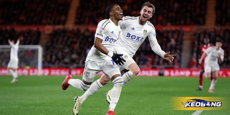 Nhận định tình hình đội chủ nhà trước trận Leeds United vs Everton ngày 19/08/2025 Nhận định tình hình đội chủ nhà trước trận Leeds United vs Everton ngày 19/08/2025