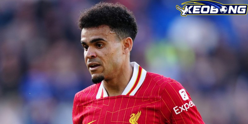 Luis Diaz có nhiều thành tựu đáng chú ý khi chơi tại Liverpool Luis Diaz có nhiều thành tựu đáng chú ý khi chơi tại Liverpool