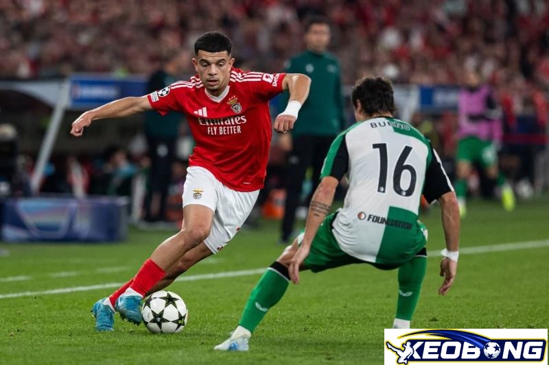 Benfica vs Rio Ave Benfica vs Rio Ave