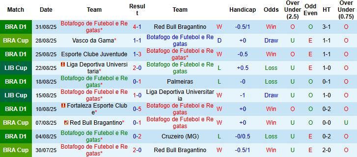 Botafogo vs Vasco da Gama 2