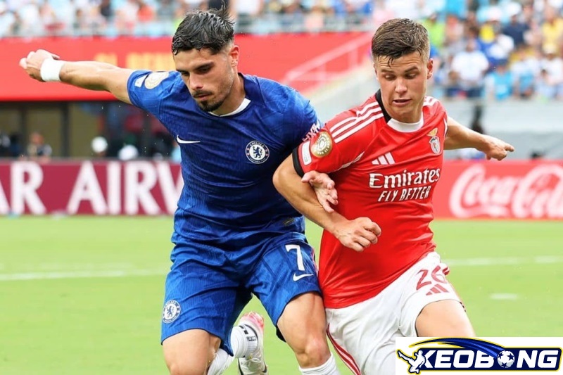 Chelsea vs Benfica Chelsea vs Benfica