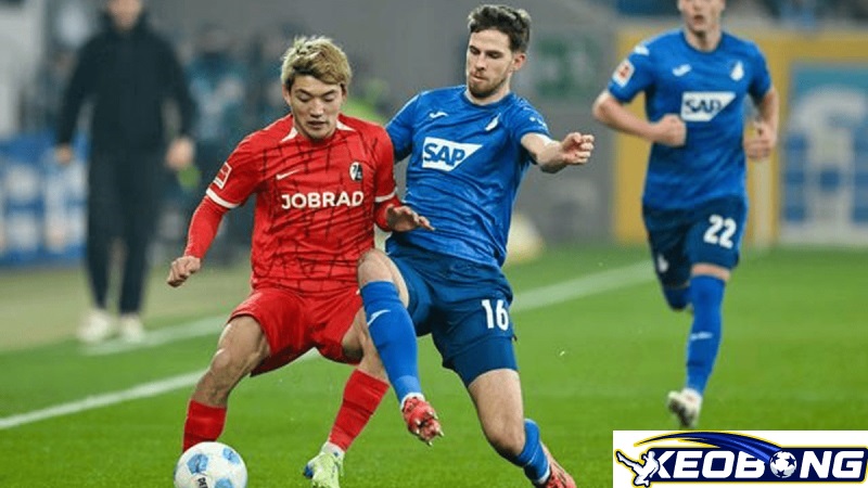 Freiburg vs Hoffenheim Freiburg vs Hoffenheim