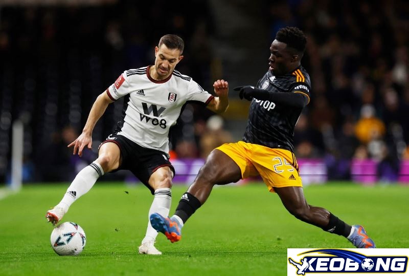 Fulham vs Leeds Fulham vs Leeds