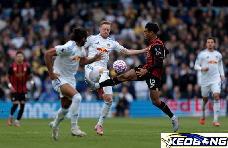 Leeds vs Tottenham Leeds vs Tottenham