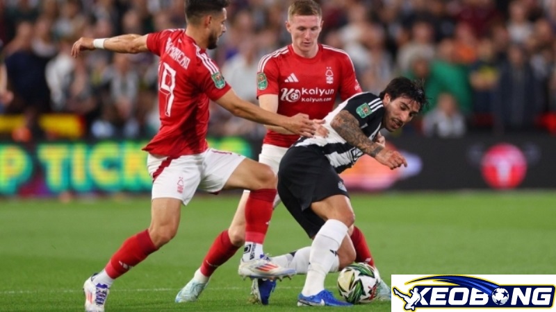 Newcastle vs Nottingham