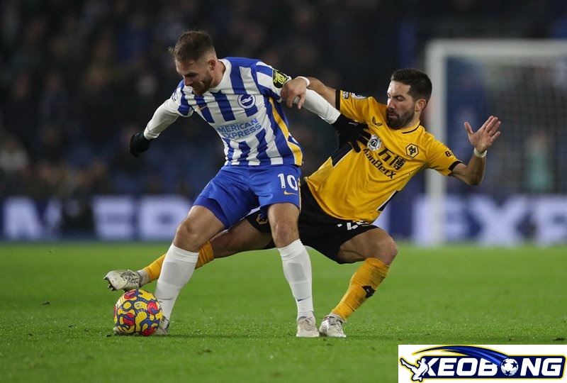 Wolves vs Brighton