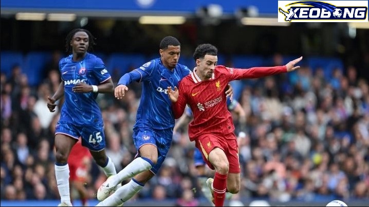 chelsea vs liverpool anh bai chelsea vs liverpool anh bai